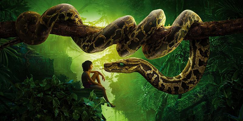 Как подключить Python к базе данных?